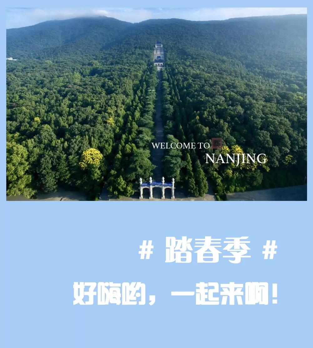 安排上了，南京新華邀你共赴免費(fèi)體驗(yàn)營(yíng)