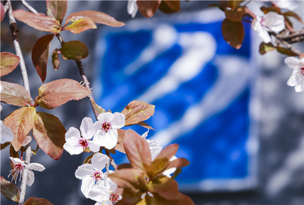 春暖花開，等你歸來——邀你云賞南新春景，以慰思念