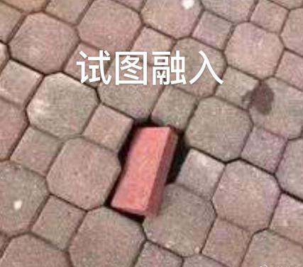 新華互聯(lián)網(wǎng)科技正式入駐Bilibili！會摩擦出什么樣火花呢？